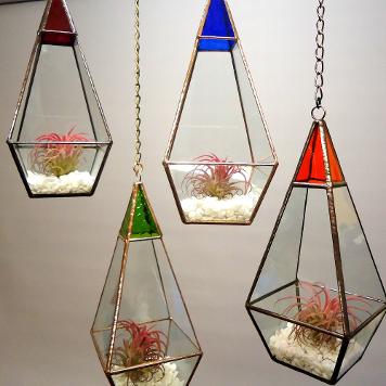 hanging terrarium airplant